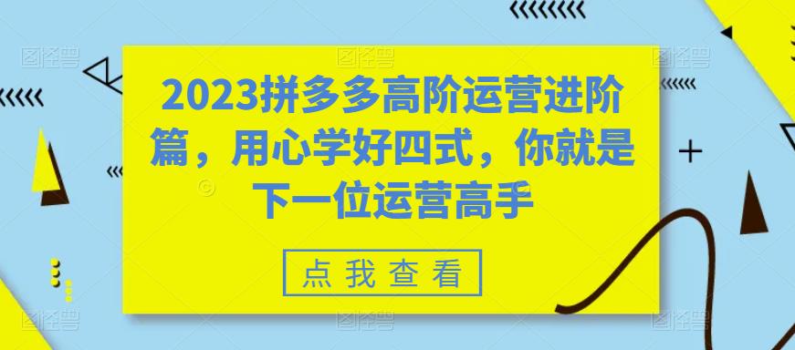 【副业项目6241期】2023拼多多高阶运营进阶篇，用心学好四式，你就是下一位运营高手缩略图