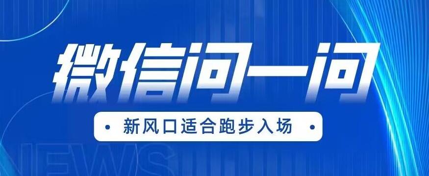 【副业项目6729期】全网首发微信问一问新风口变现项目（价值1999元）【揭秘】缩略图