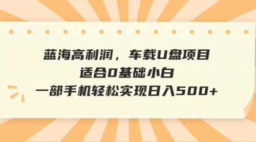 【副业项目6781期】蓝海高利润，车载U盘项目，适合0基础小白，一部手机轻松实现一天500+缩略图