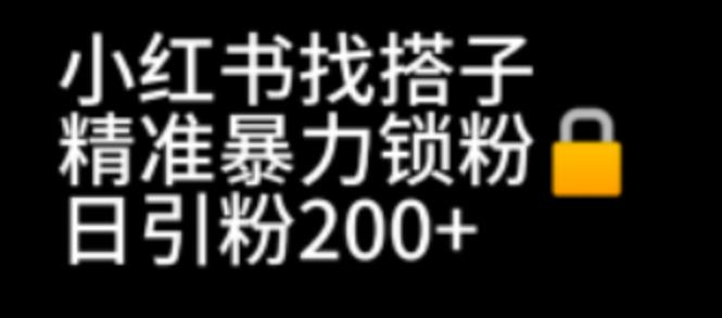 【副业项目7040期】小红书找搭子暴力精准锁粉+引流日引200+精准粉缩略图