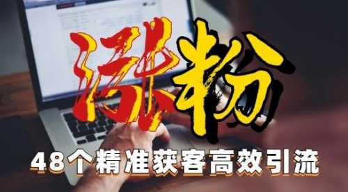 【副业项目7097期】独家分享48个引流绝技，再没粉丝只能怪自己了！缩略图