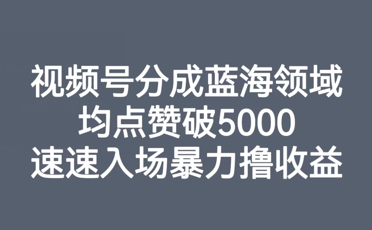 【副业项目8023期】视频号分成蓝海领域，均点赞破5000，速速入场暴力撸收益缩略图